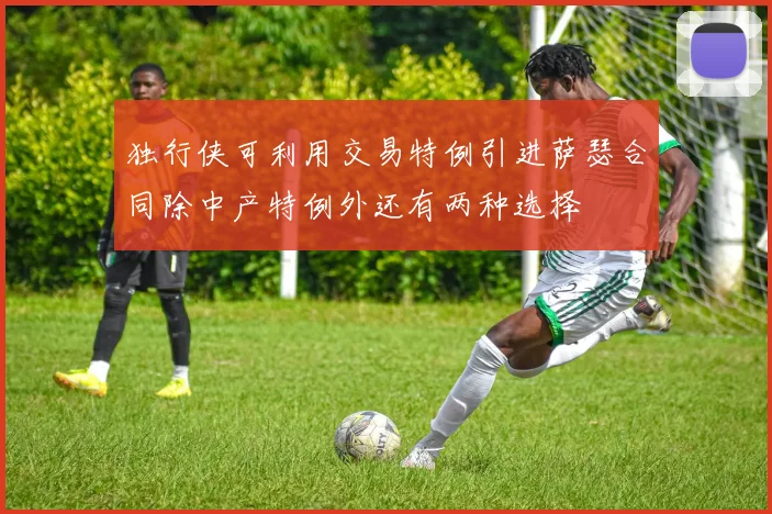 独行侠可利用交易特例引进萨瑟合同除中产特例外还有两种选择
