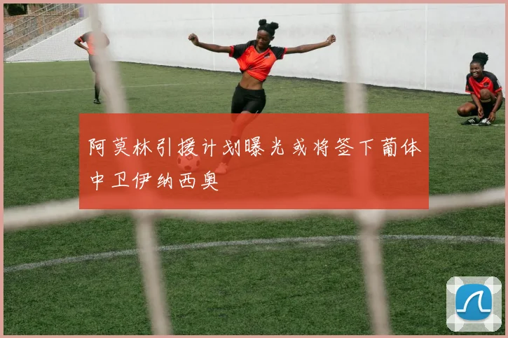 阿莫林引援计划曝光或将签下葡体中卫伊纳西奥